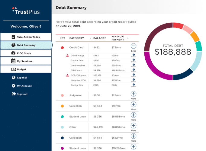 TrustPlus Debt Summary